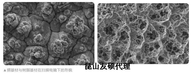 江津蔡司江津扫描电镜